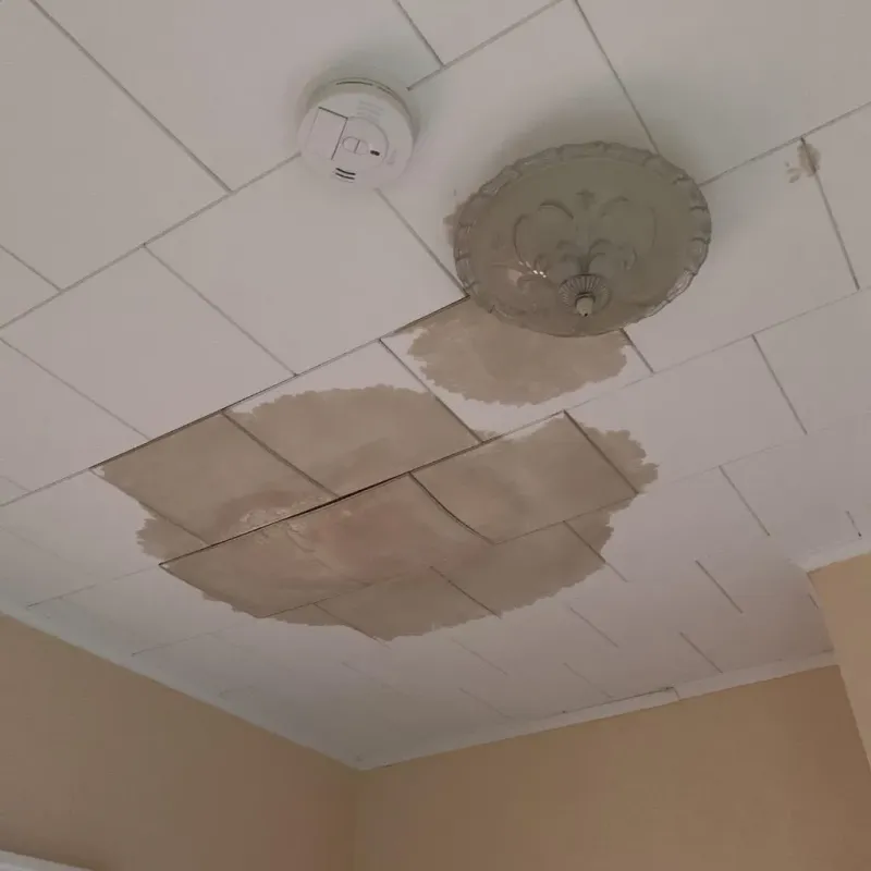 Ceiling Water Damage Repair in Southmont, NC